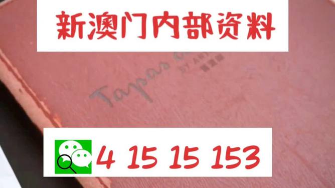 新澳门精准资料大全免费查询,全面释义解释落实