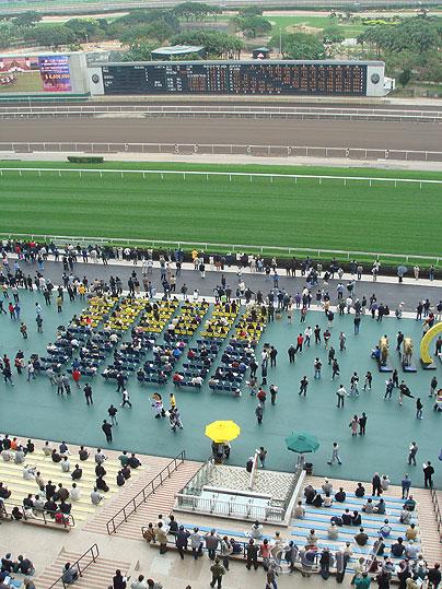 香港最准马会资料免费,全面释义解释落实