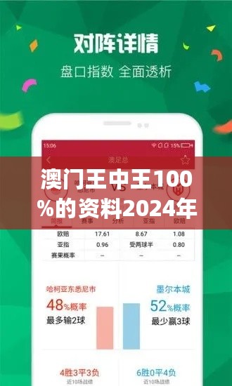 2025年新澳门王中王免费,全面释义解释落实