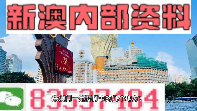 2025新澳门正版免费资料,探索澳门正版资料的世界，2025年的新展望