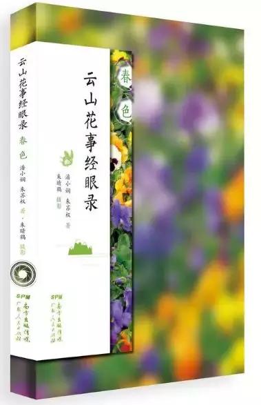 新澳门天天彩正版免费进入方法,新澳门天天彩正版免费进入方法与体验分享