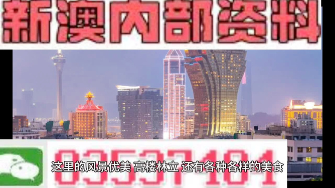 2025澳门正版精准资料大全,澳门正版精准资料大全——探索未来的关键指引（2025版）