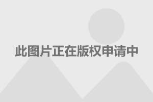 2025新澳门精准资料免费大全,澳门作为一个充满魅力的城市，吸引了无数人的目光。随着科技的不断发展，人们对于澳门的了解也越来越深入。本文将围绕澳门这一主题展开，介绍关于澳门的历史背景、文化特色以及未来的发展，同时结合关键词2025新澳门精准资料免费大全，为读者提供更多关于澳门的信息和资料。